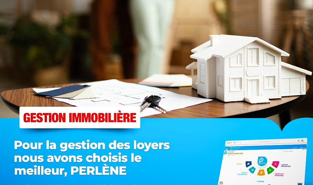 Révolutionnez la Gestion Immobilière avec Perlene ! 🏡🚀
